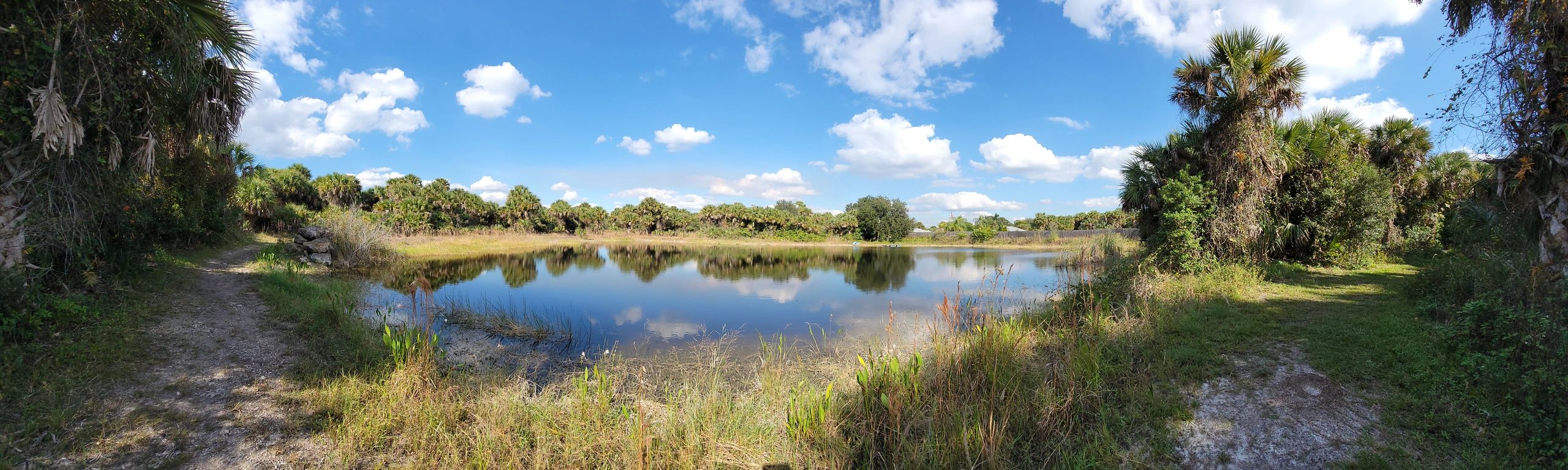 Rivers Road Preserve, Conservation Collier, Naples, Florida - Panorama Photo