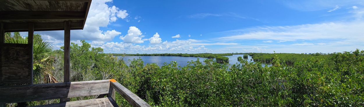 Panorama Photo Southwest Florida - Rookery Bay