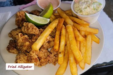 Southwest Florida Food Photos - Fried Alligator Bites