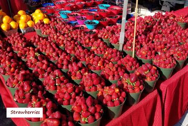 Southwest Florida Food Photos - Strawberries at Farmers Market