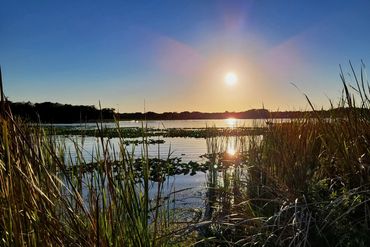 Sunset Photo - Lake Tarpon, Palm Harbor, Florida