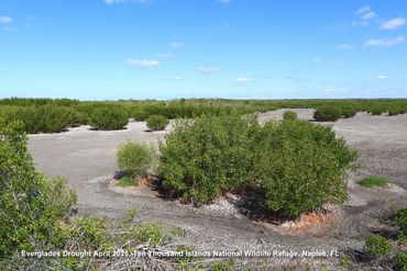 Southwest Florida Landscape Photos - Ten Thousand Islands