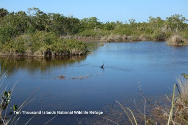 Landscapes of Southwest Florida Photos - Ten Thousand Islands National Wildlife Refuge