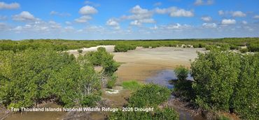 Landscape Photos Southwest Florida - Ten Thousand Islands National Wildlife Refuge - 2026 Drought