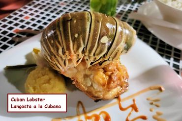 Cuban Food Photos - Cuban Lobster