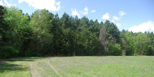 Nature trail