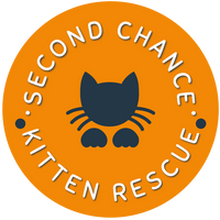 Second Chance Kitten Rescue