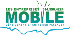 les entreprises mobile