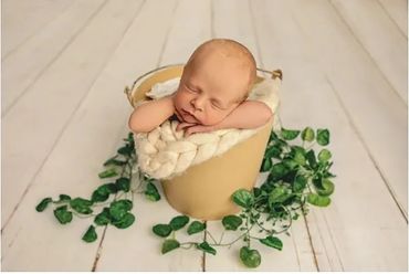 Sleeping newborn baby in a bucket surrounded by green leaves.