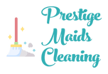 PROFESSIONAL CLEANING SERVICE