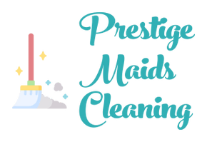 PROFESSIONAL CLEANING SERVICE