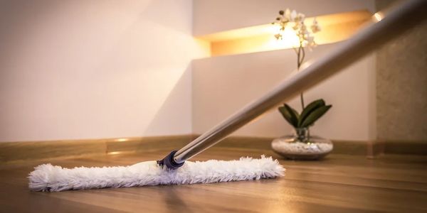Cleaning a wooden floor with a flat mop near a plant.