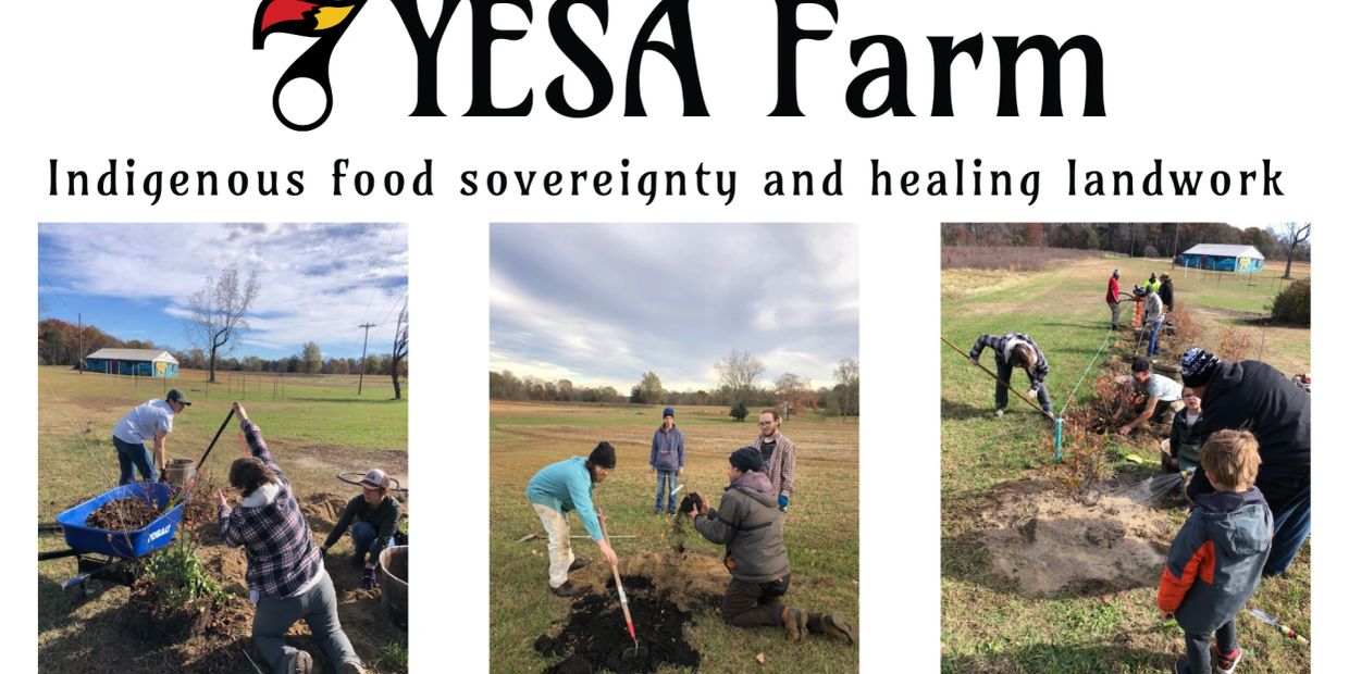 YESA Farm promotes Indigenous food sovereignty through community farming and healing.