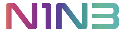N1N3 Consulting