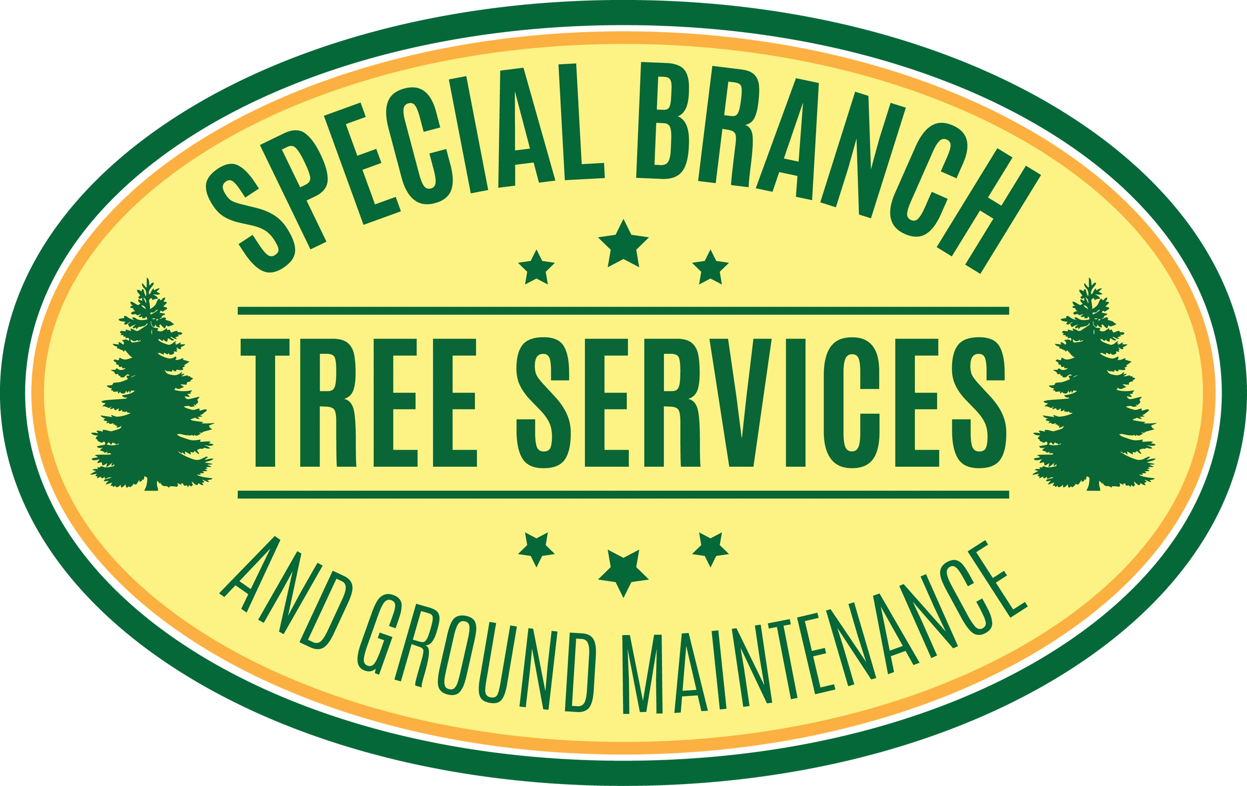 Ipswich Tree Surgeon, Special Branch Tree Services