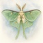 The Daystar Awareness Project
Transformation of Incarcerated Men 