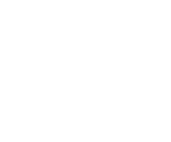 Saleen Crane