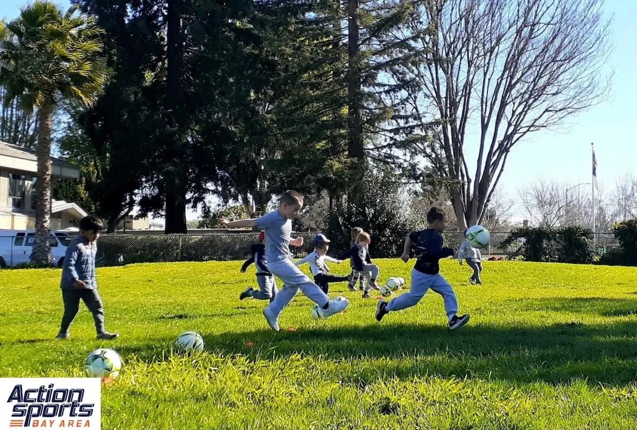 Children playing soccer on a sunny day in a grassy park.