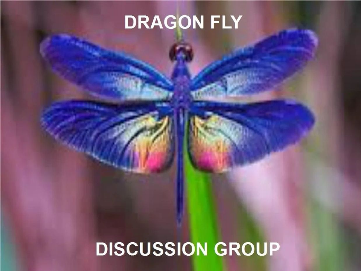 Dragon Fly Rap Session & Discussion Group