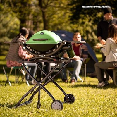 Portable propane grill