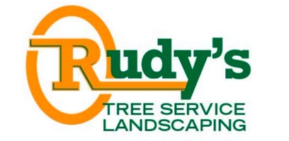 Welcome to Rudy's trees services