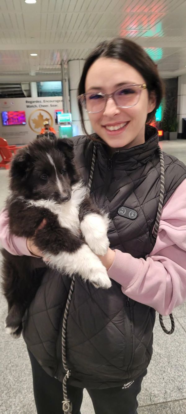 Une jeune femme et son chiot