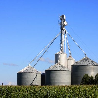 Crop Insurance, Grain Marketing and Brokerage Services