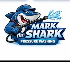 markthesharktampa.com