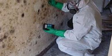 Mold remediation