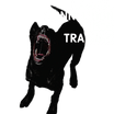 Canine Connection 