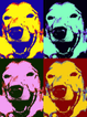 Good Dog Training