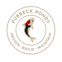Purbeck Ponds