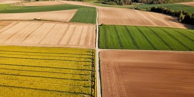 Farm fields