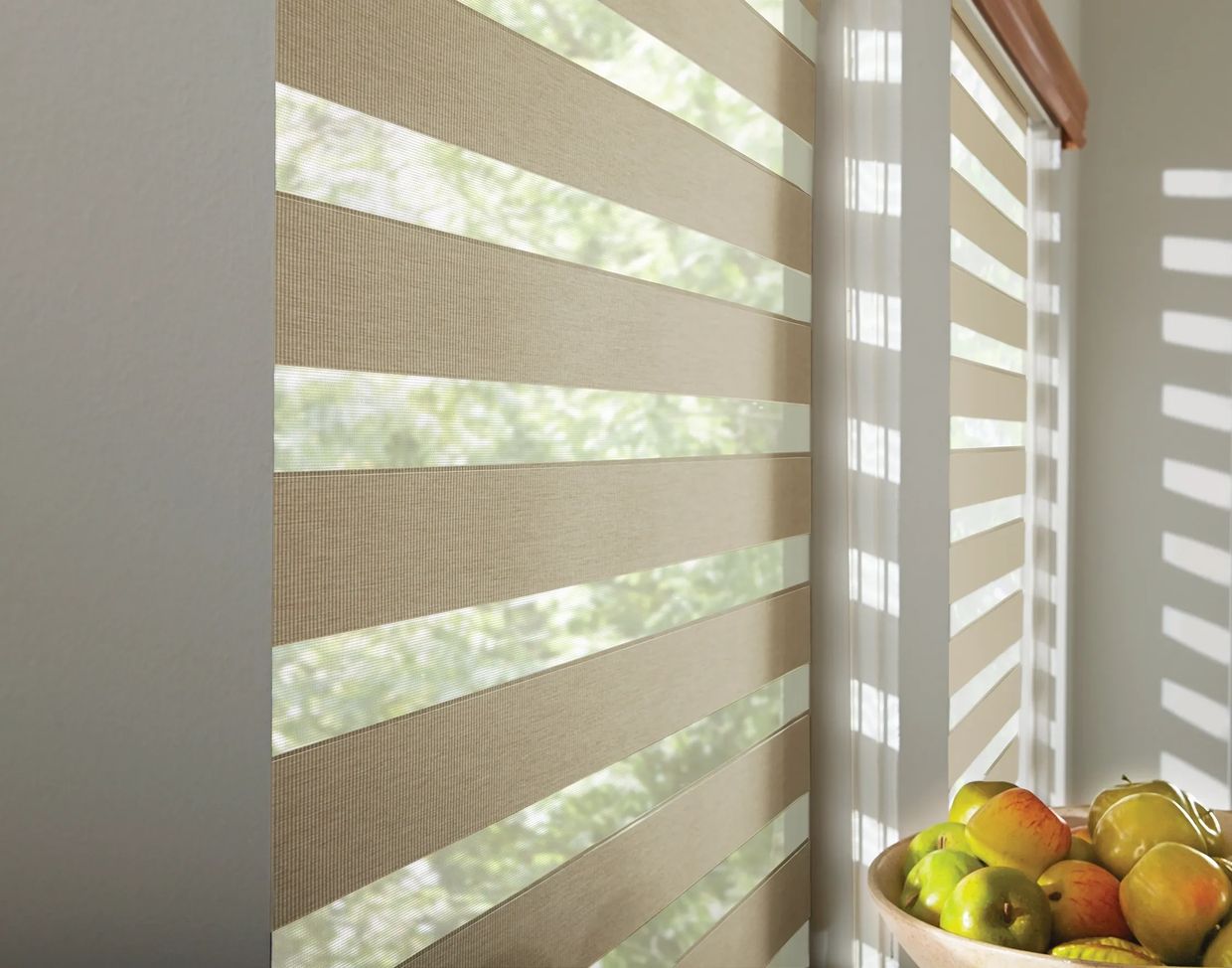 Zebra Shades - ShadeZone Blinds & Awnings