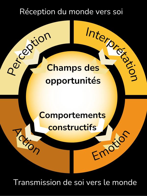 Notre perception du monde conditionne nos pensées, nos émotions et nos comportement.