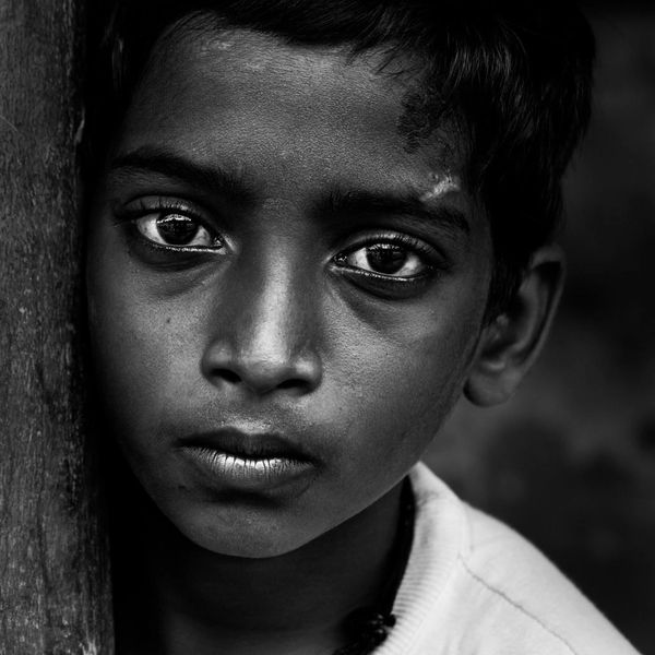 A portrait of a young boy