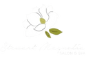 Stewart Magnolia Salon & Spa