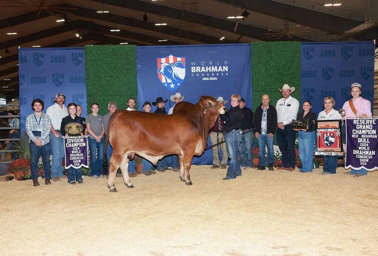 Group photo at the 2024 World Brahman Congress with champion Brahman bull.