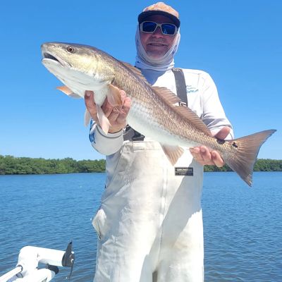 18IN S End Marine Grade Dehooker – Capt. Harry's Fishing Supply