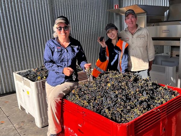Ms. L Wines