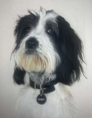 Pet portrait pastel drawing mixed breed