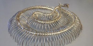 rattlesnake skeleton nickel plated