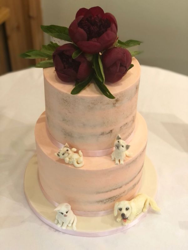 Pink semi naked wedding cake with deep pink/burgundy fresh flowers and bespoke pet models