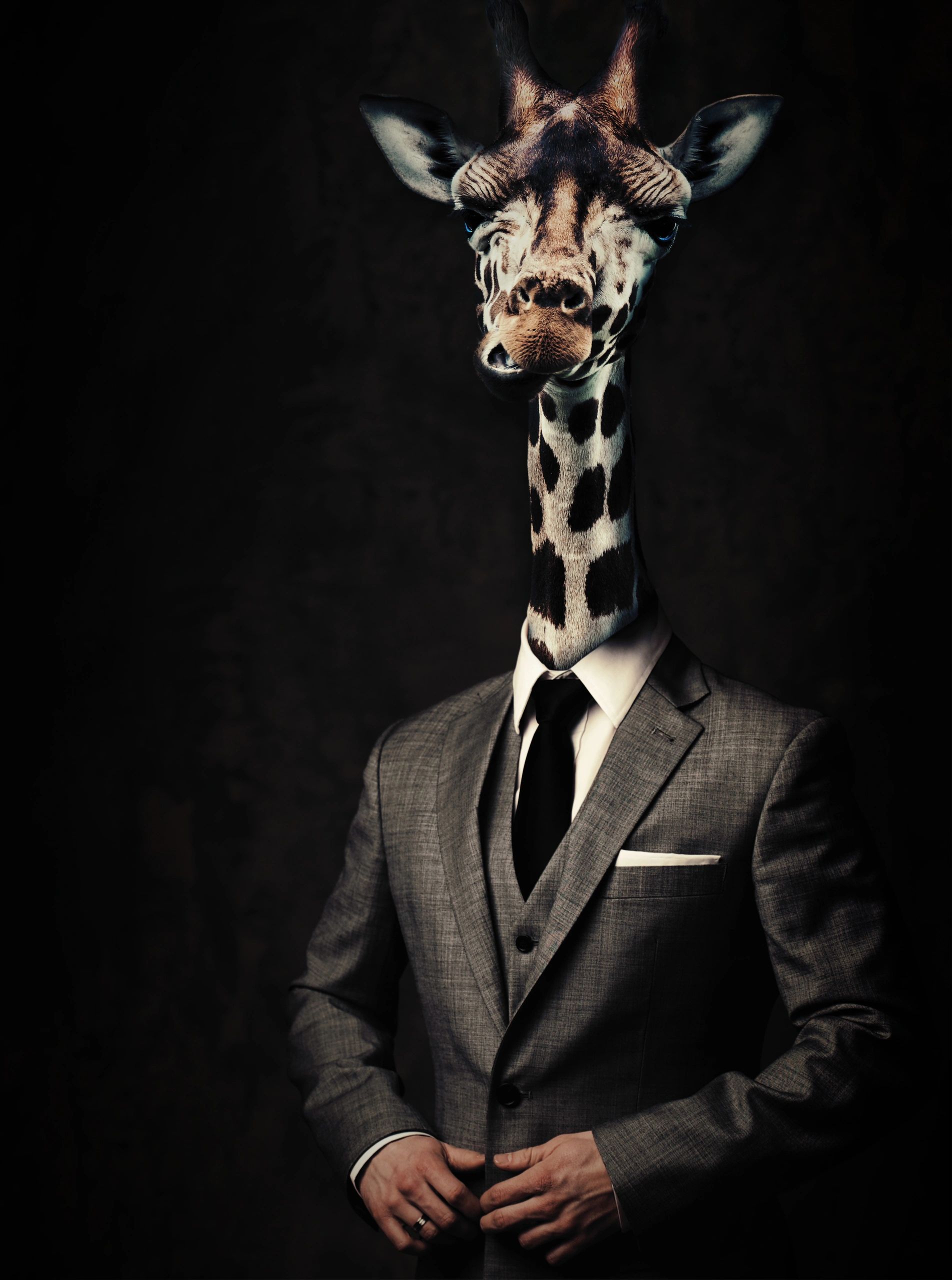 Composite image of a giraffe dressed in a stylish suit and tie, blending whimsy with sophistication.