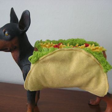 A dog wearing a taco costume with lettuce and cheese details.