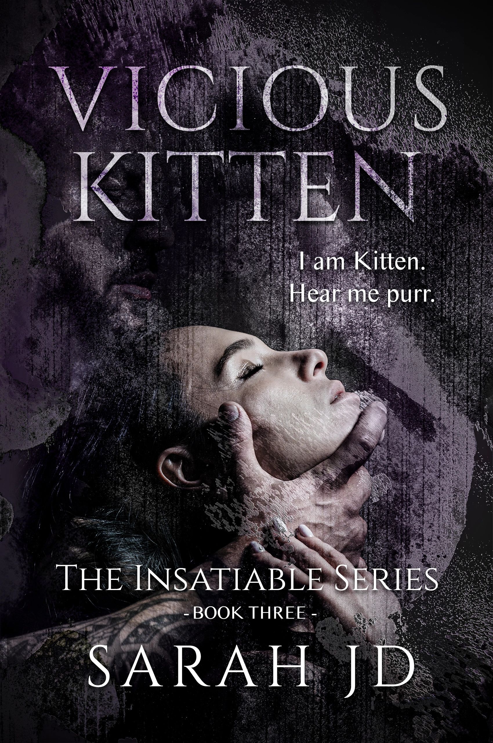 //img1.wsimg.com/isteam/ip/87e15b52-167a-479a-b4d2-e7c24f45466f/3%20Vicious%20Kitten%20book%203%20ebook.jpeg/:/rs=w:1300,h:800