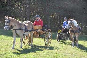 Two people riding horses pulling carts on a grassy field.