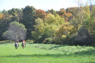 Two horseback riders in a green field by a colorful forest.