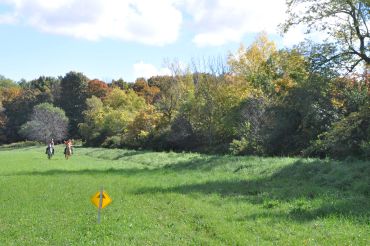 Two people walk on a grassy field near autumn trees.