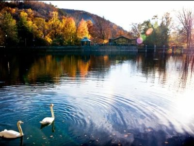 Two swans swim in a peaceful lake with autumn trees and a mountain in the background.